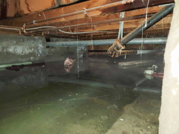 Best Fire Damage Restoration  in Cadillac, MI